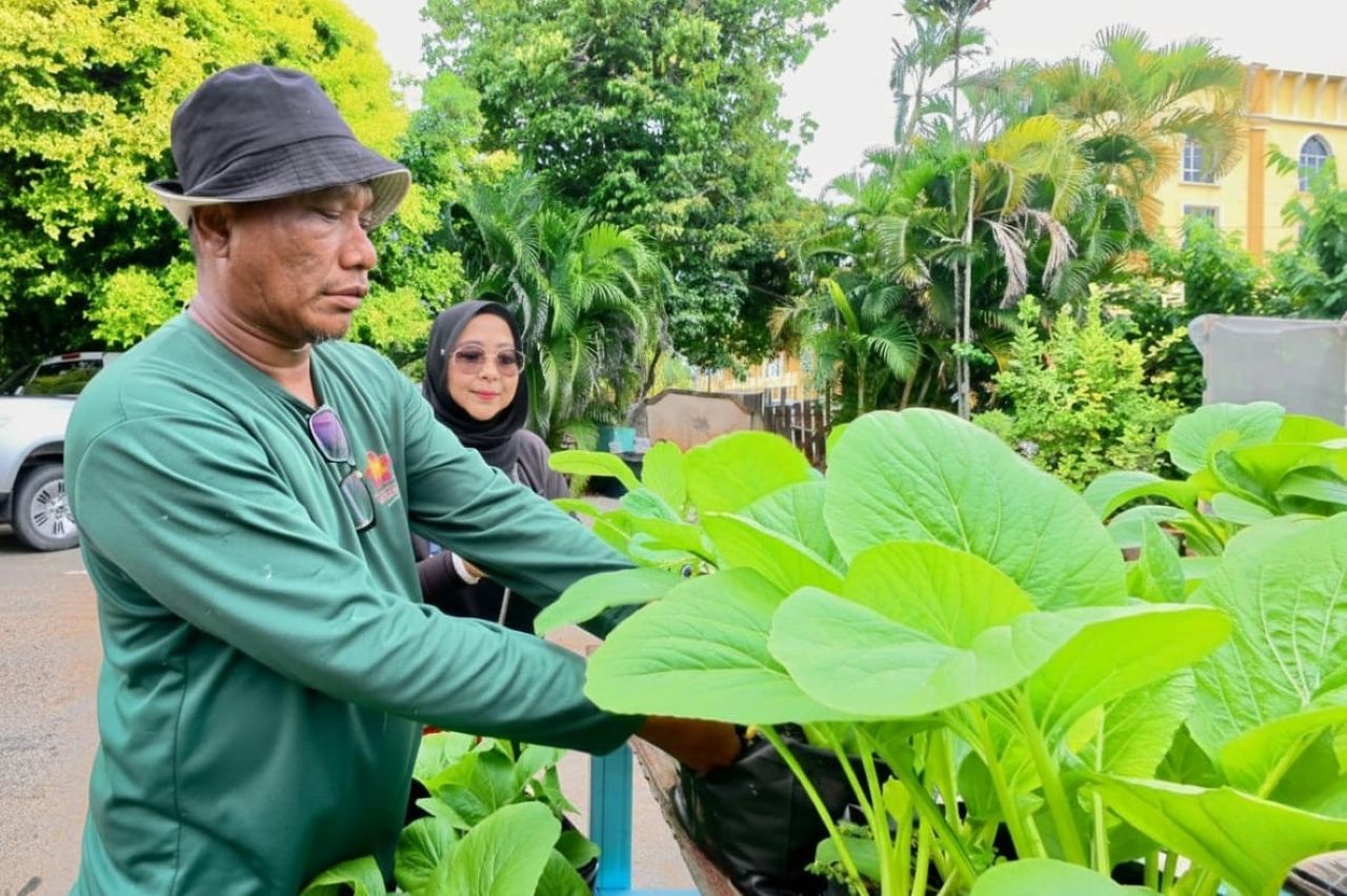Hydroponic & Fertigation Farming