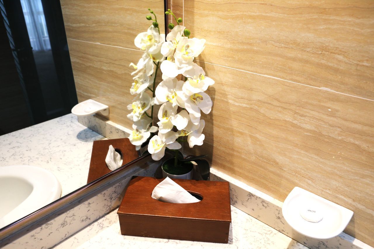 Primula Suite